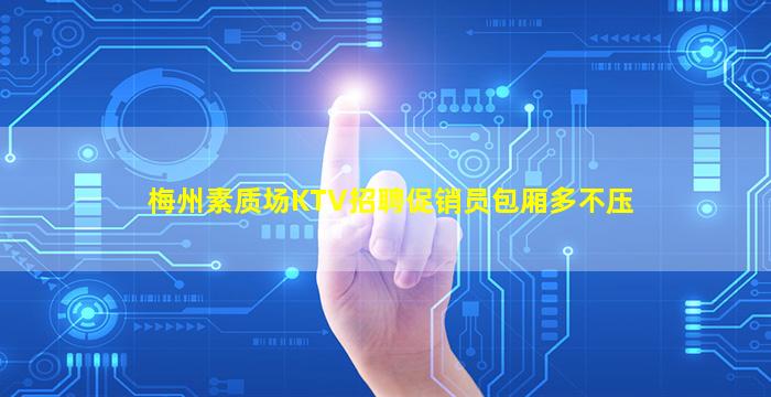 梅州素质场KTV招聘促销员包厢多不压
